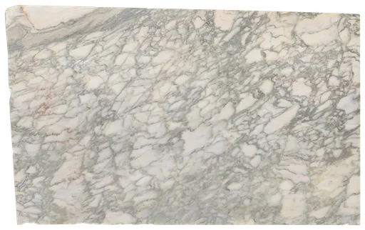 White Safari - EB409