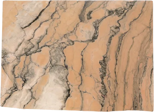 EB1251-019
